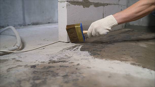 SJ Waterproofing Pros Waterproofing coverage map for Ada, MN and surrounding area